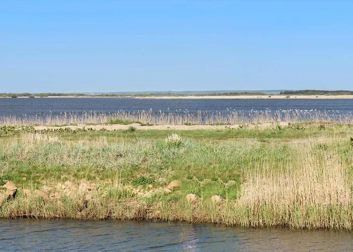 Dom wakacyjny C11331-tarm-brombaervej-5